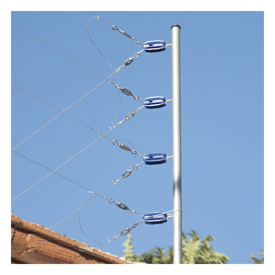 galeriaal0400os9pll95tINsr.png