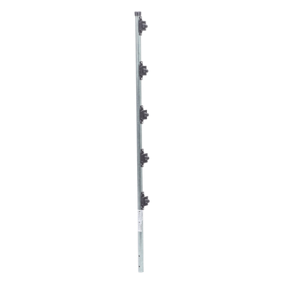 galerianbvgsk9d41m599szqNZ.png