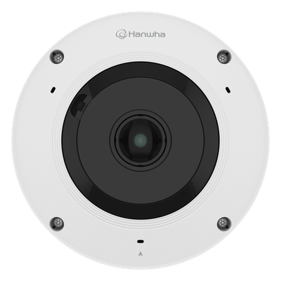 galeriaed1d2aii8apf77wTACZ.png