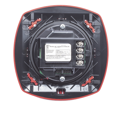 galeria5qmoi628rj884dT65YJ.png