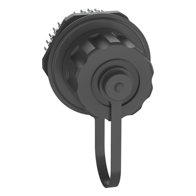 galeriah9rofmtlrh2j7VRTLtp.png