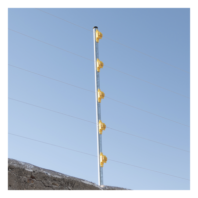 galeriaeqpncmmphoar49ePW72.png