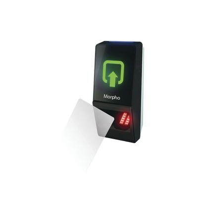 galeriadspvp41lm1o4cQxG892.png