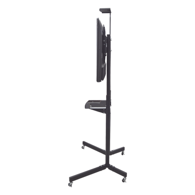 galeriasi0op9hho2911U82evD.png