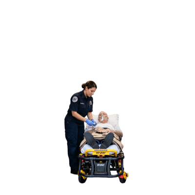 galerialh9h1k1i259t52tq9zu.png