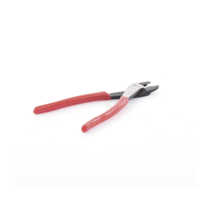 galeriapel0821892p63chzGUc.png