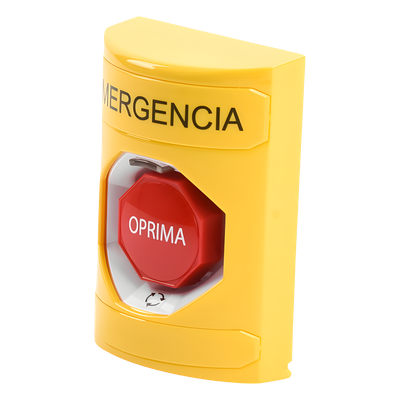 galeria0p6nsgm3fikg4lzPExD.png