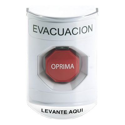 galeria3pl6sapt5m421PxIp2o.png