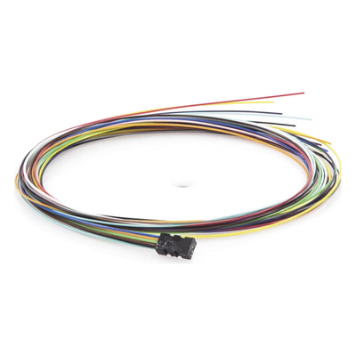 galeriab6ge57ujotl3fwc2FCc.png
