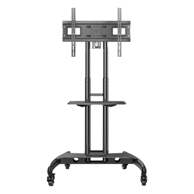 galeria0v8spg9pug8r9LCZv9C.png