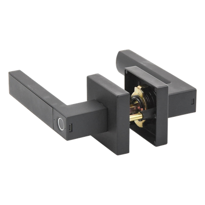 galeriakarlueq1a86n5odMFB6.png