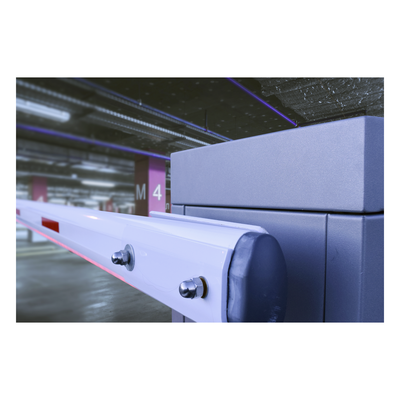 galeria8895103vm34m7xafJCp.png