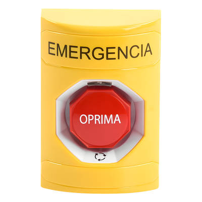 galeria4iiqkp7hn36o3KWxD1X.png