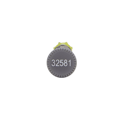 galeriaev69laudevjm9wMQKgX.png