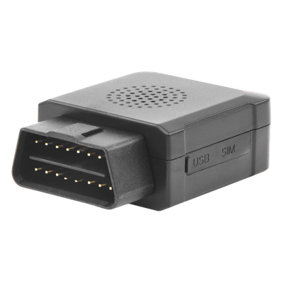 galeriac4o2lj6d9sm65W7Mdxf.png