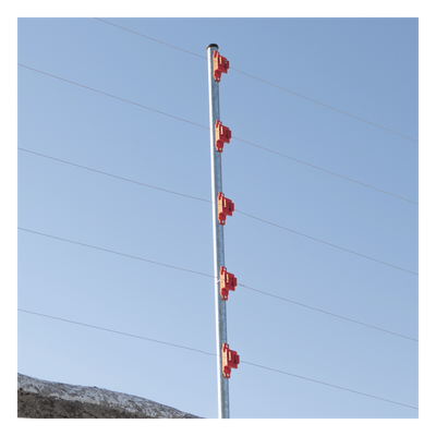 galeriamfgd7klupj3r8EFzRJd.png