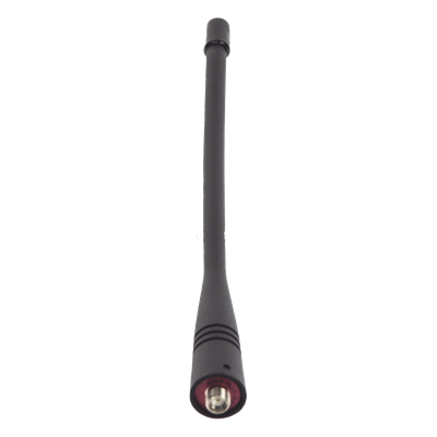 galeriacrhcn01ucg1seARgJzx.png
