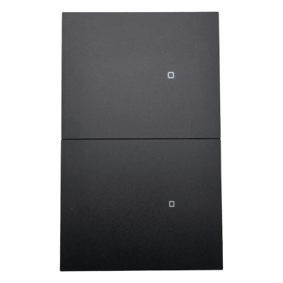 Apagador inalámbrico ZigBee 110-220V 2 GANG