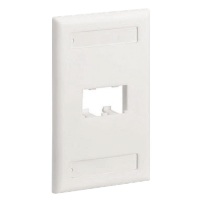 Placa de Pared Vertical Clásica, Salida Para 2 Puertos Mini-Com, Con Espacios Para Etiquetas, Color Blanco