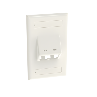 Placa de Pared Vertical Clásica, Salida Para 2 Puertos Mini-Com Inclinados, Con Espacios Para Etiquetas, Color Blanco