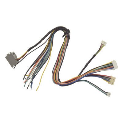Juego de cables de conexion para Bioentry  plus