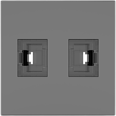 Módulo Pasivo TBUS / 2 Puertos RJ45 Passthrough / Entrada y Salida 2 Hembras / Color Negro Grafito RAL 9011