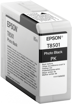 Cartucho EPSON T850100