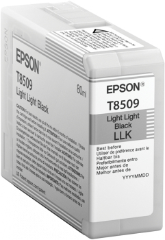 Cartucho EPSON T850900