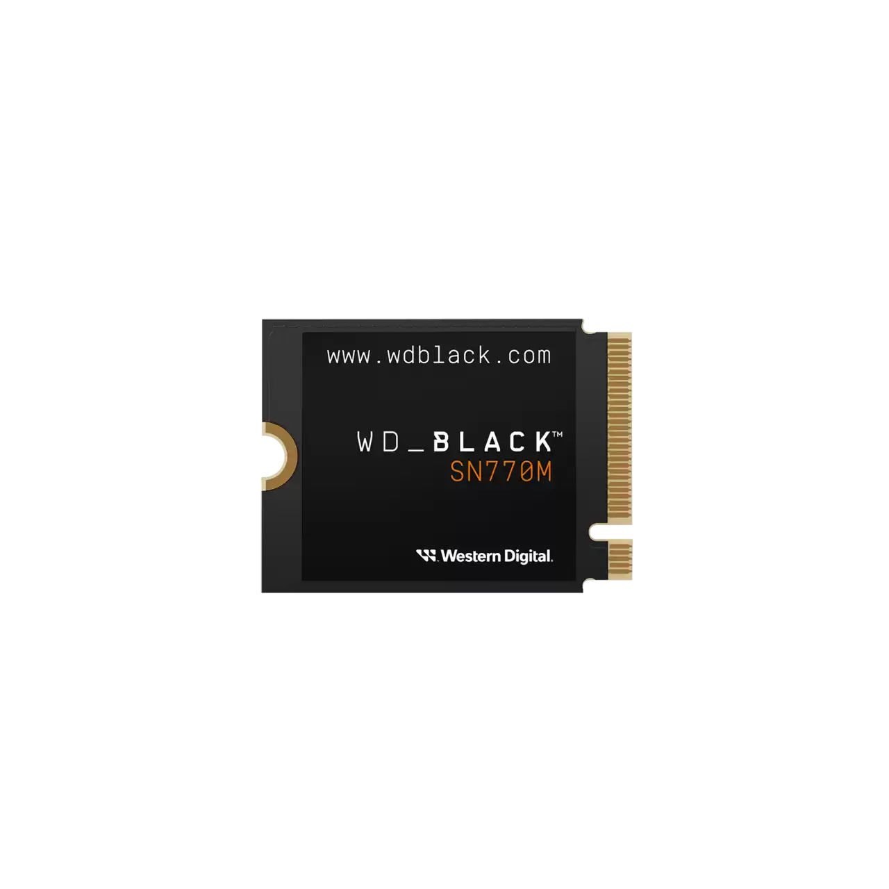 SSD SANDISK WDS100T3X0G