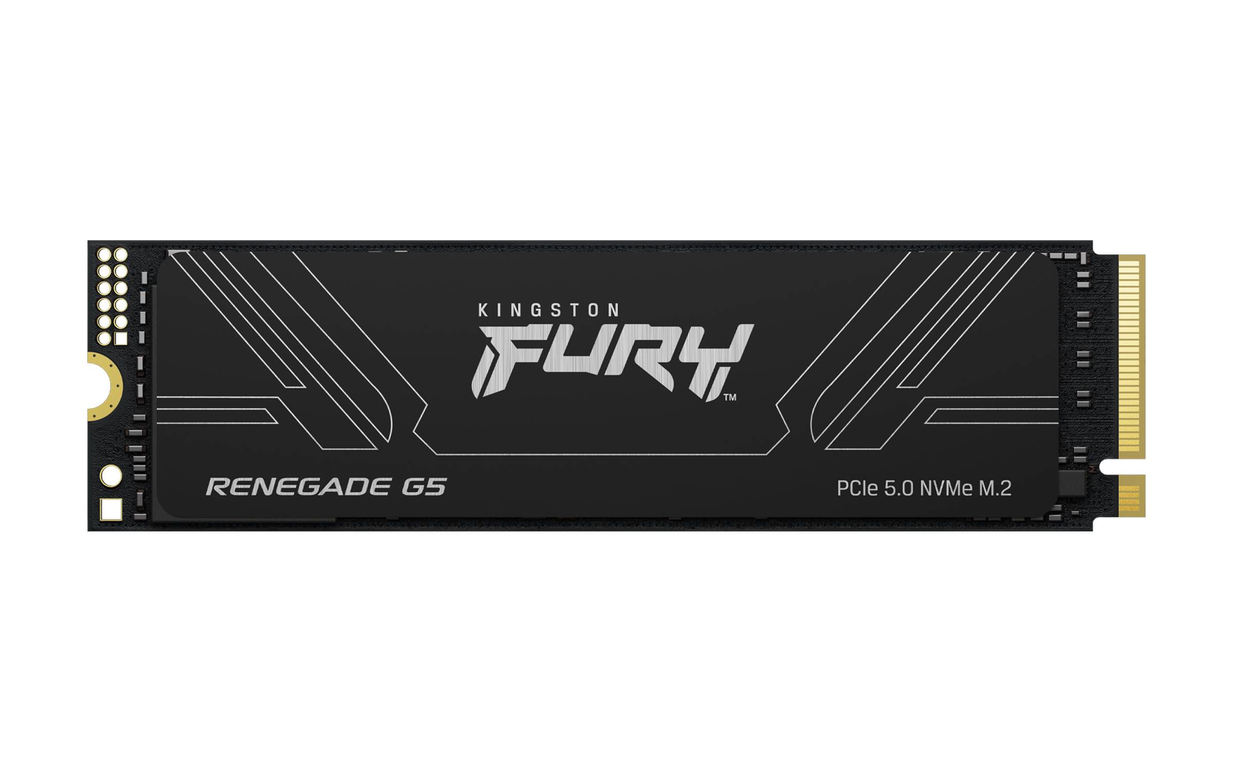 SSD Kingston Technology FURY RENEGADE G5
