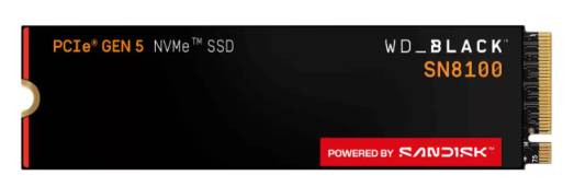 SSD SANDISK WDS100T1X0M