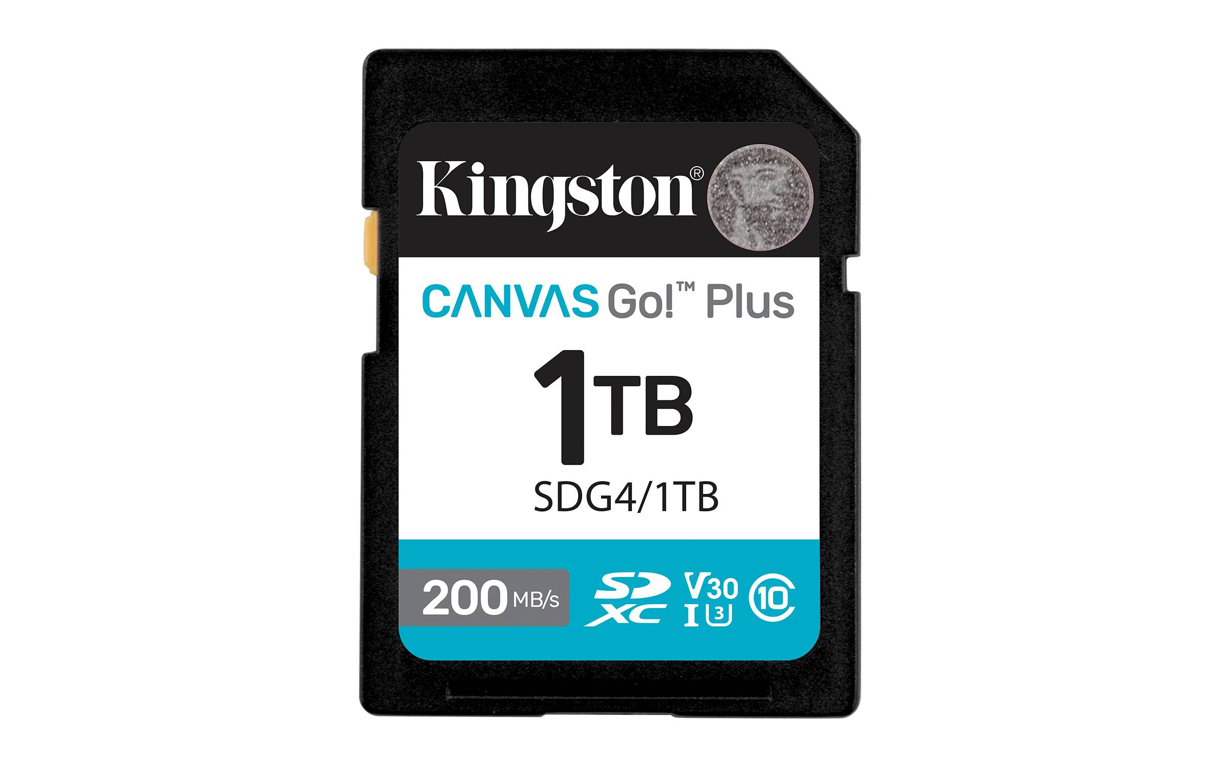 Memorias Flash Kingston Technology CANVAS GO PLUS GEN 4