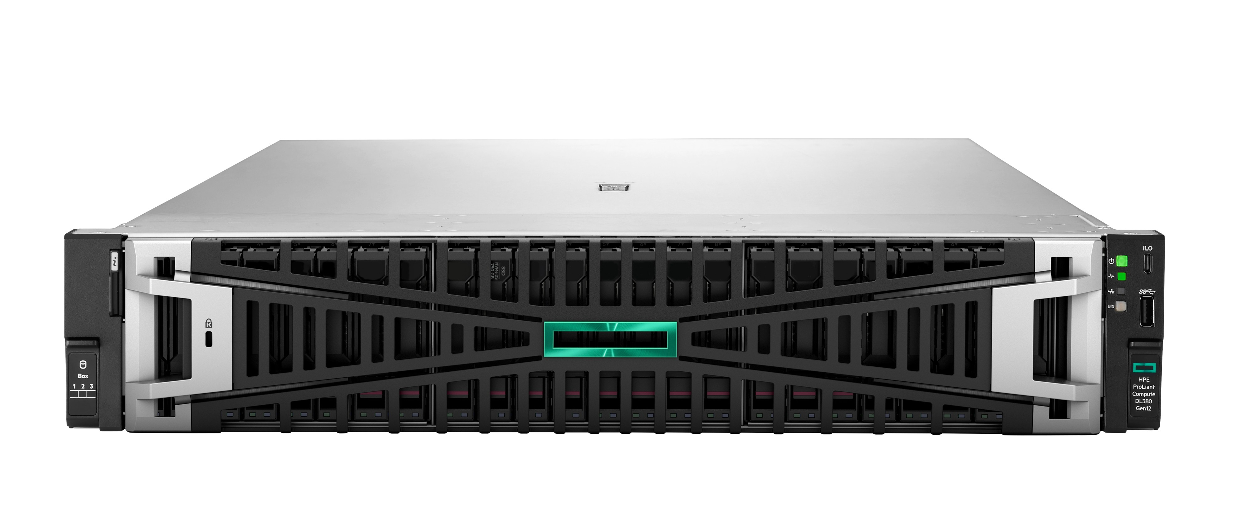 Servidor Hewlett Packard Enterprise DL380 Gen11
