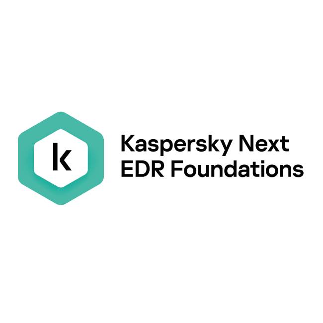 KASPERSKY KL4065ZASDS