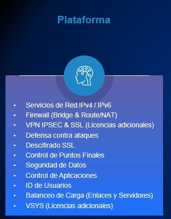 Licencias Hillstone SGSV-A200-IN12U