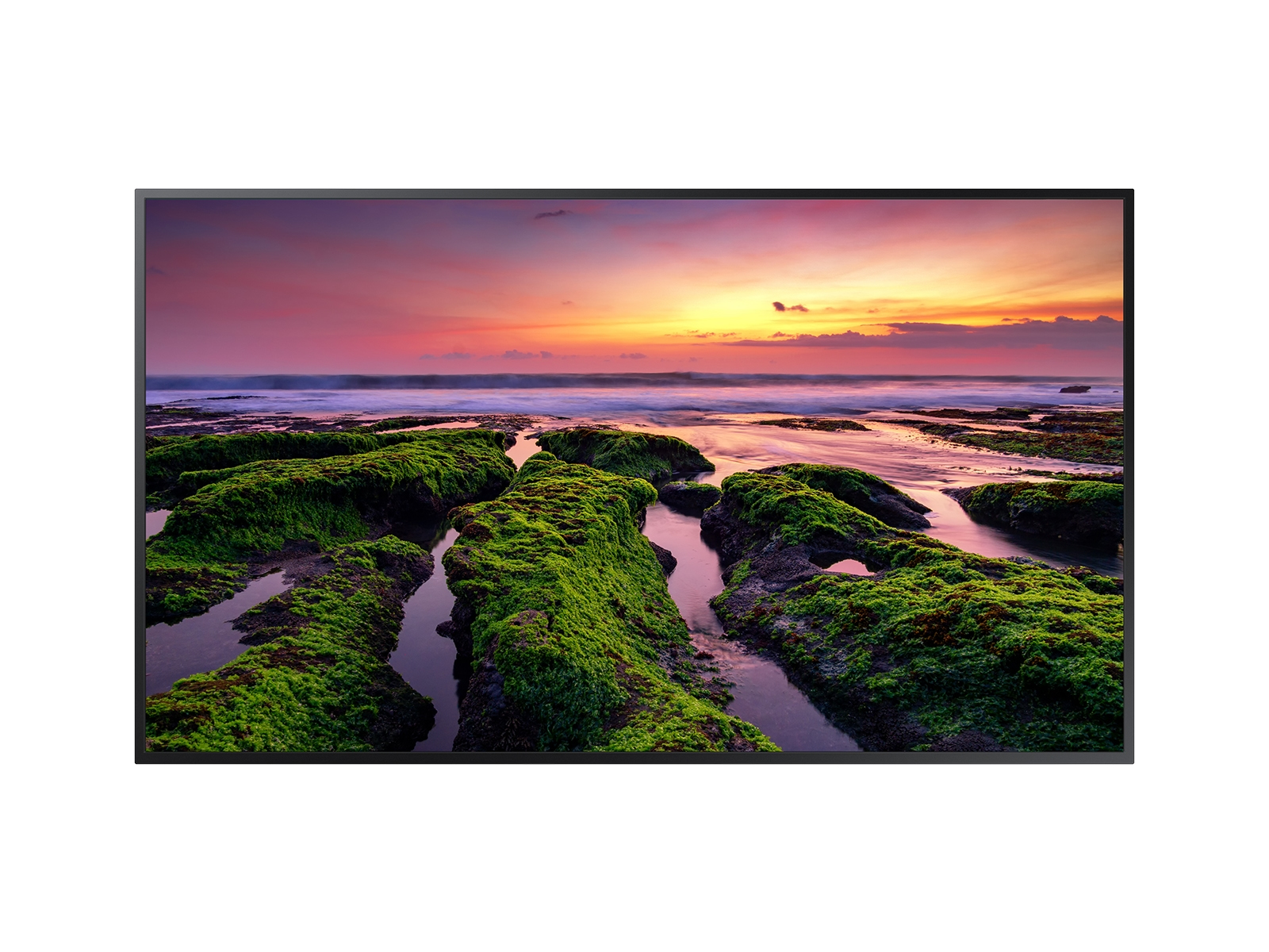 Monitor Profesional SAMSUNG QB65B