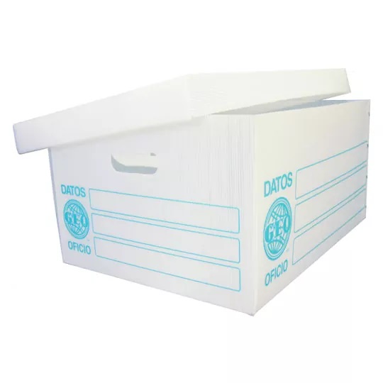 Caja de Archivo Plástico GEO 027