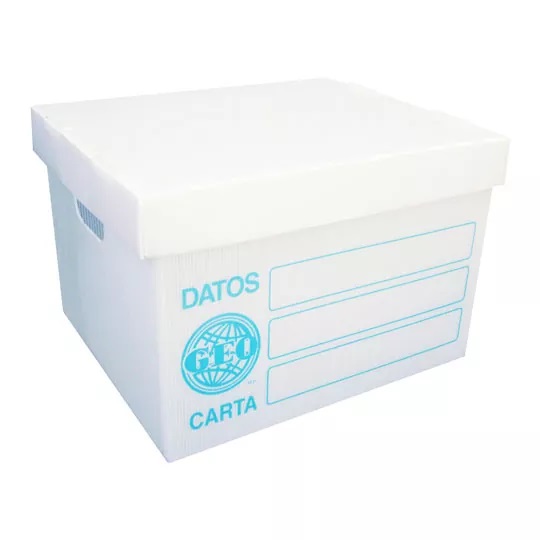 Caja de Archivo Plástico Carta GEO 026