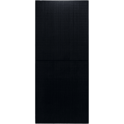 Módulo Solar Bifacial Doble Vidrio L-TOPCon / 650 W / 42.60 Vmp / 50.28 Vcc / Monocristalino 132 Celdas 182×210 mm / Bifacialidad 85±5% / Eficiencia 24.06% / IP68