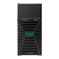 HPE SMART CHOICE ML30 G11 E-2434 1P 1X32G HDD LA SVR