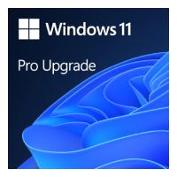 MICROSOFT CSP WINDOWS 11 HOME TO PRO UPGRADE FOR MICROSOFT 365 BUSINESS COM - PERPETUO